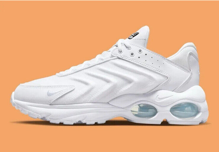 Кросівки чоловічі Nike Air Max Tw (DQ3984-102)