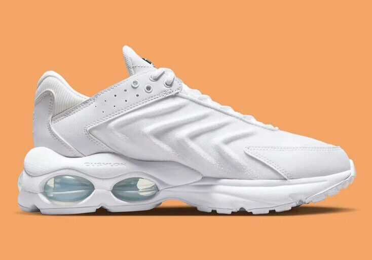 Кросівки чоловічі Nike Air Max Tw (DQ3984-102)