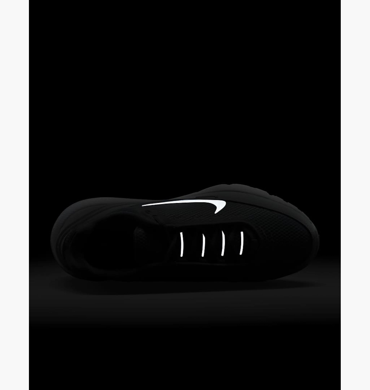 Кросівки жіночі Nike Air Max Pulse Grey (FD6409-004)