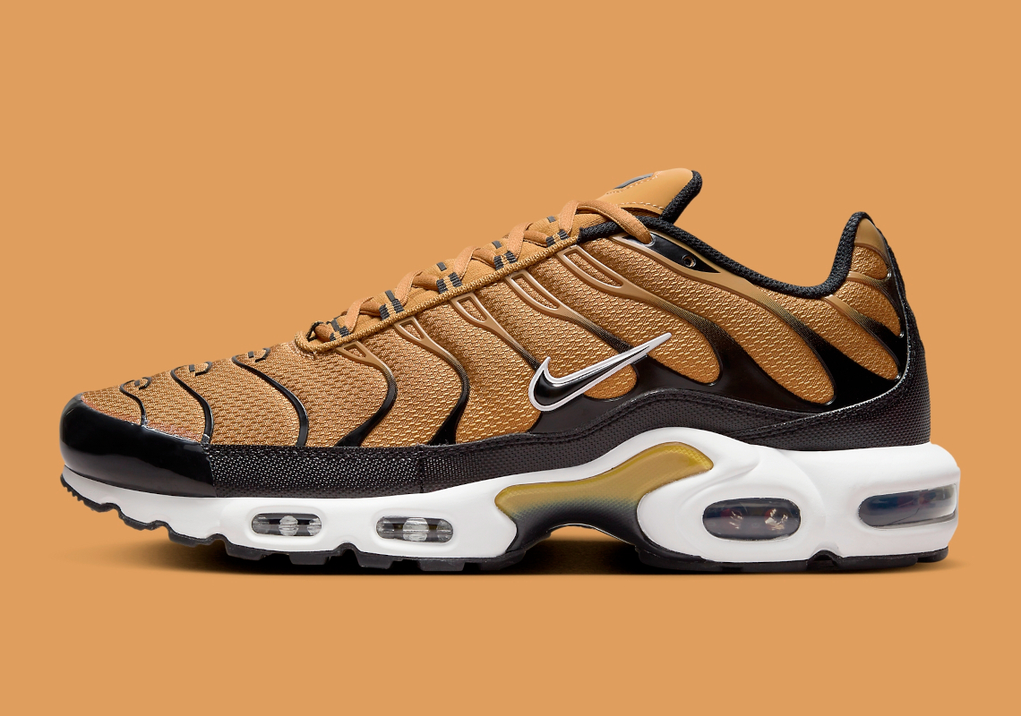 Кросівки чоловічі Nike Air Max Plus (DM0032-700)