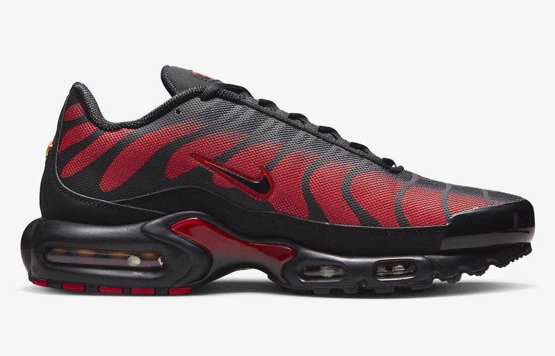 Кросівки чоловічі Nike Air Max Plus (DZ4507-600)