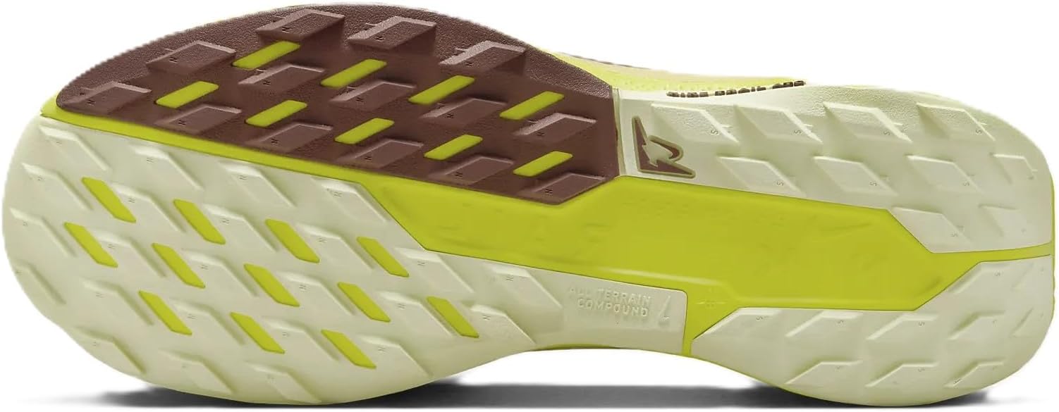 Кросівки для бігу жіночі Nike Pegasus Trail 5 Gore-Tex (FQ0912-101)