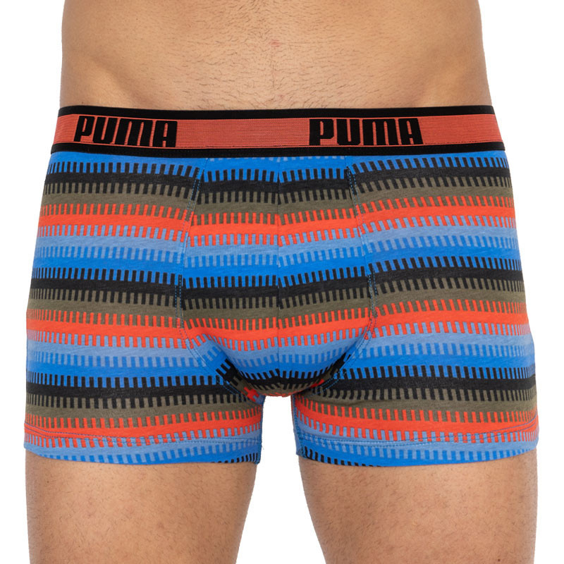 Труси-боксерки чоловічі Puma Worldhood Stripe Trunk 2P (501004001-030)