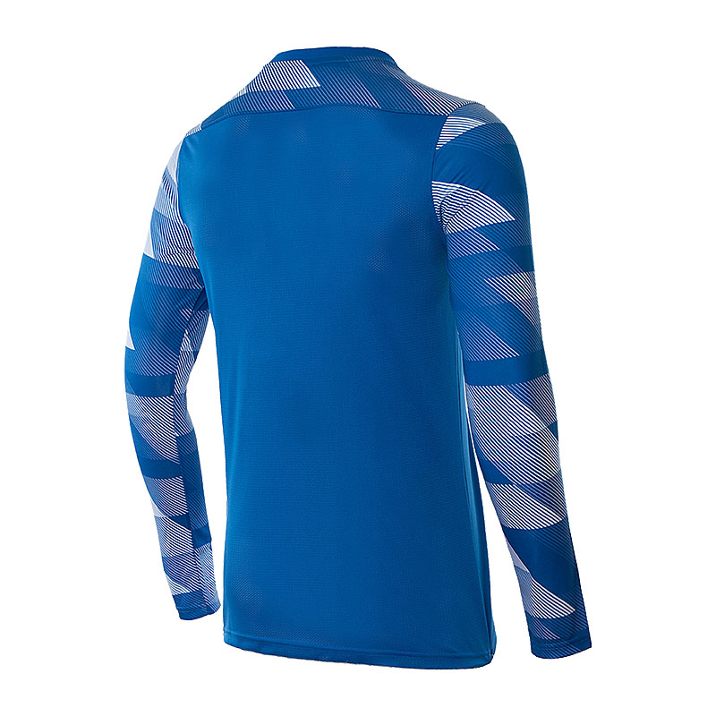Футболка чоловіча Nike Dry Park Iv Goalkeeper Jersey Long Sleeve (CJ6066-463)