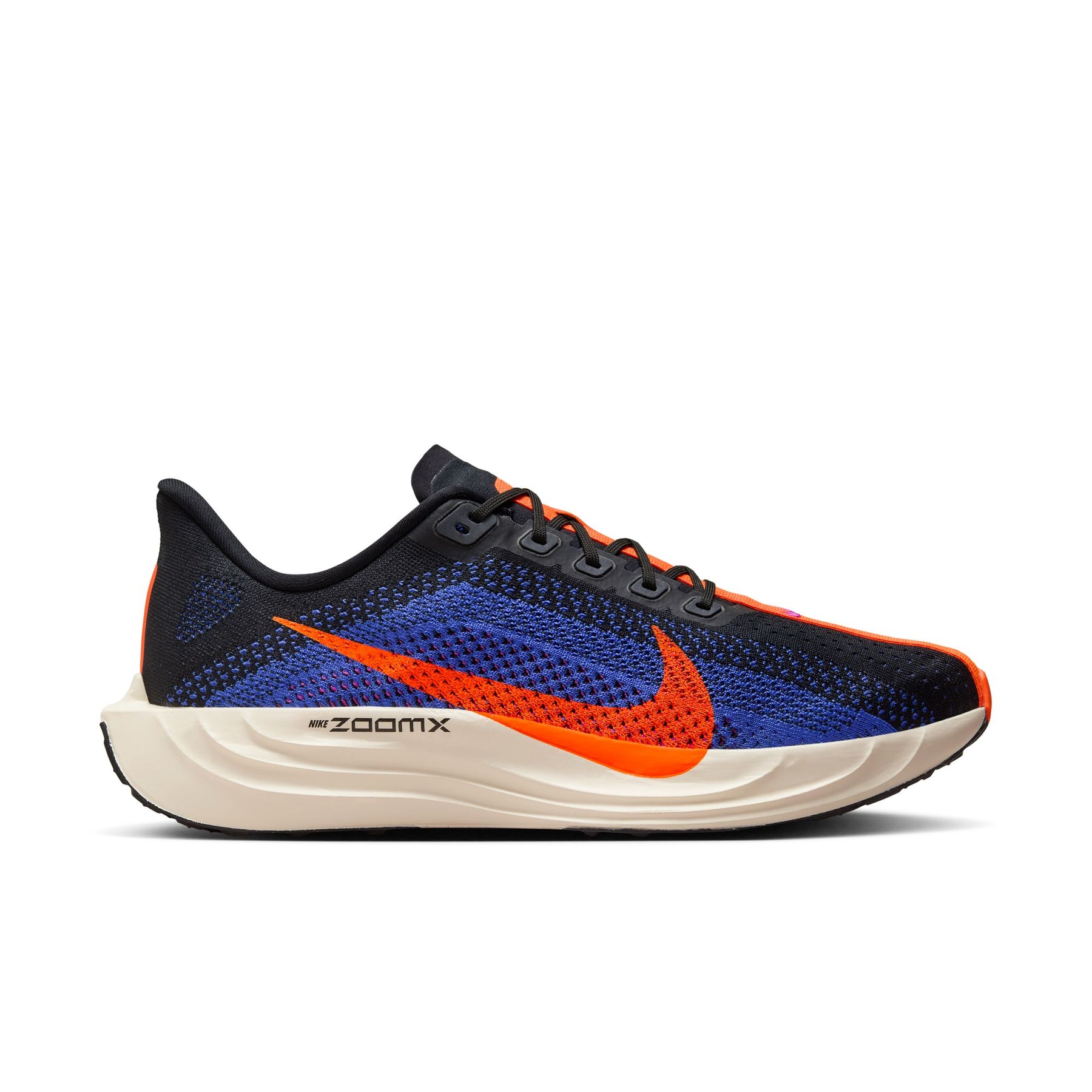 Кросівки чоловічі Nike Pegasus Plus Road Running (FQ7262-008)
