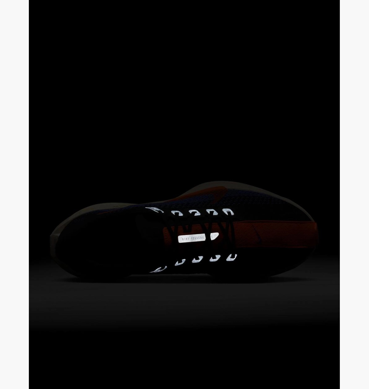 Кросівки чоловічі Nike Pegasus Plus Road Running (FQ7262-008)