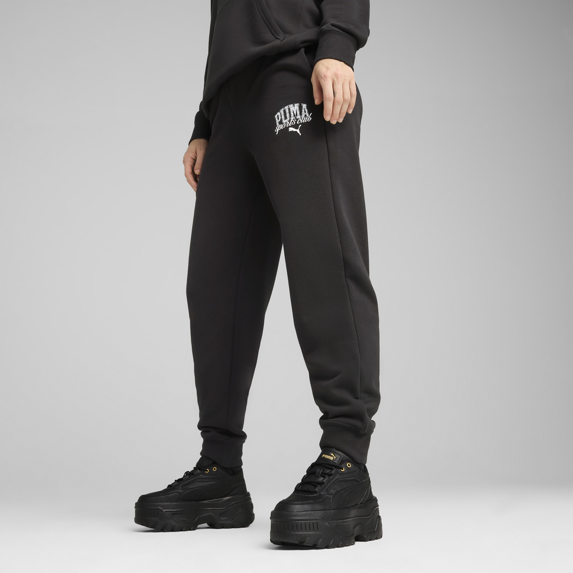 Брюки жіночі Puma Class Sweatpants Tr Cl (68503701)
