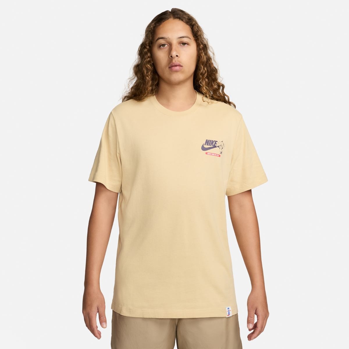 Футболка чоловіча Nike M Nsw Tee Oc Graphic Pk5 (FV3754-252)