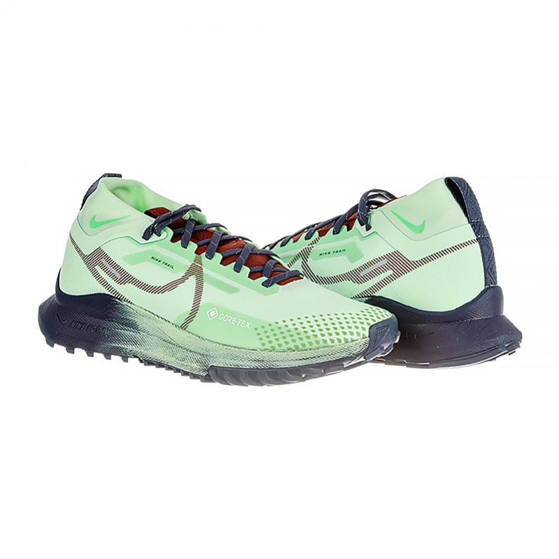 Кросівки для бігу чоловічі Nike Pegasus Trail 4 Gore-Tex (DJ7926-303)