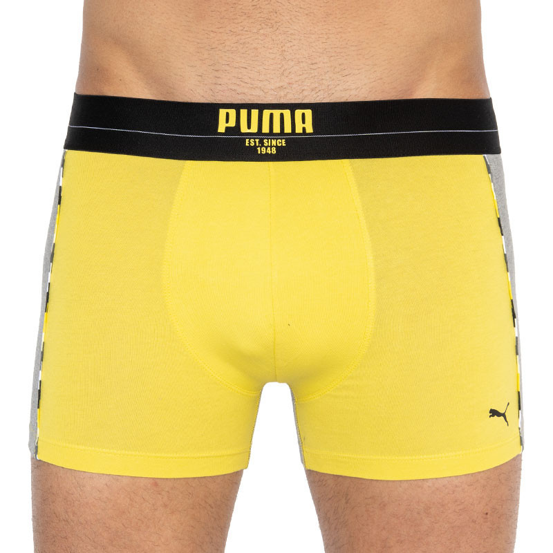Труси-боксерки чоловічі Puma Statement Boxer 2P (501006001-020)