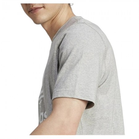Футболка чоловіча Adidas Adicolor Classics Trefoil Tee Grey (IM4504)