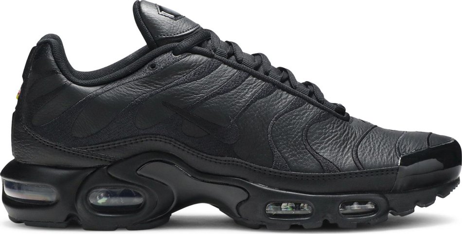Кросівки чоловічі Nike Air Max Plus Tn 'Triple Black' (AJ2029-001)