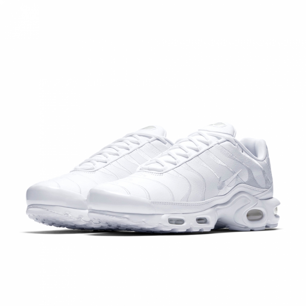 Кросівки чоловічі Nike Air Max Plus (AJ2029-100)