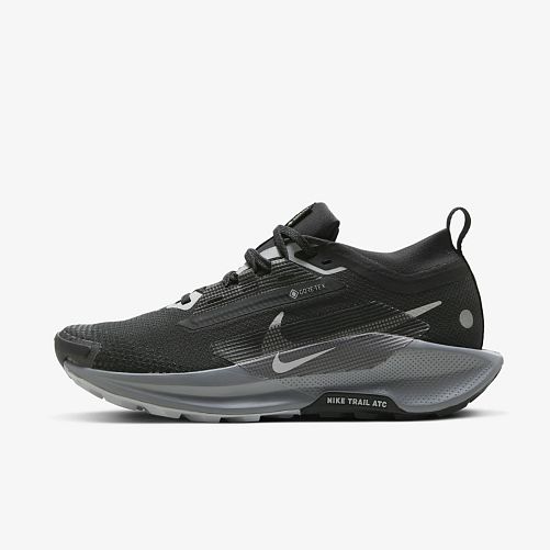 Кросівки жіночі Nike W Pegasus Trail 5 Gtx (FQ0912-001)