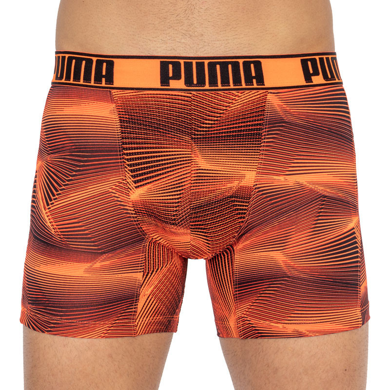 Труси-боксерки чоловічі Puma Active Boxer Print 2P (501010001-030)