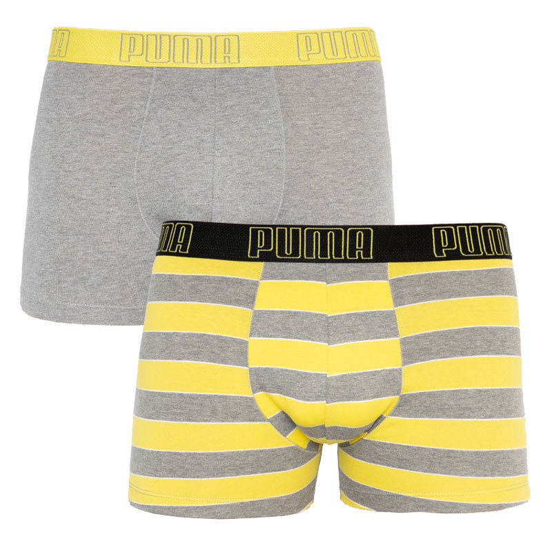 Труси-боксерки чоловічі Puma Yd Bold Stripe Boxer 2P (501001001-020)