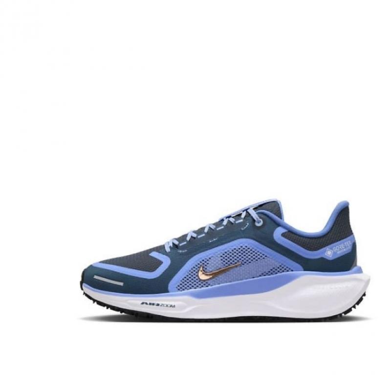 Кросівки для бігу жіночі Nike Pegasus 41 Gtx (FQ1357-400)