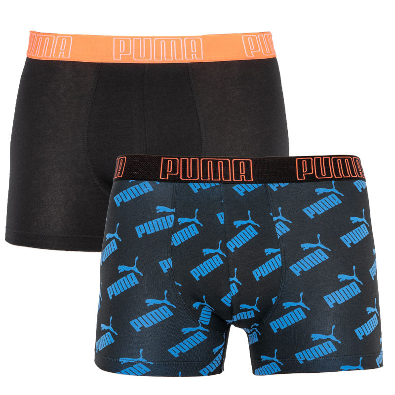 Труси-боксерки чоловічі Puma Big Logo Aop Boxer 2P (501012001-030)