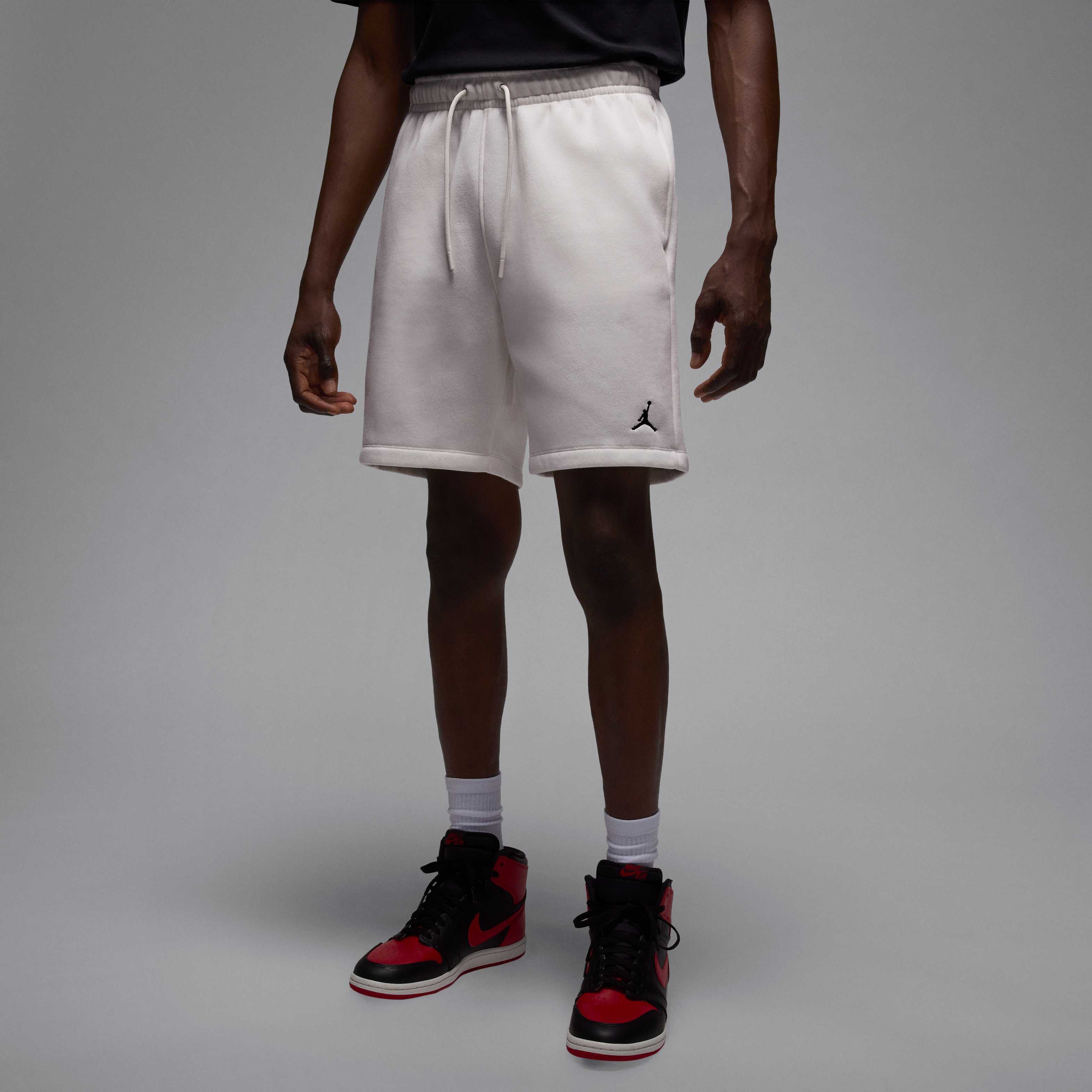 Шорти чоловічі Nike Brooklyn Fleece Shorts (FV7285-133)