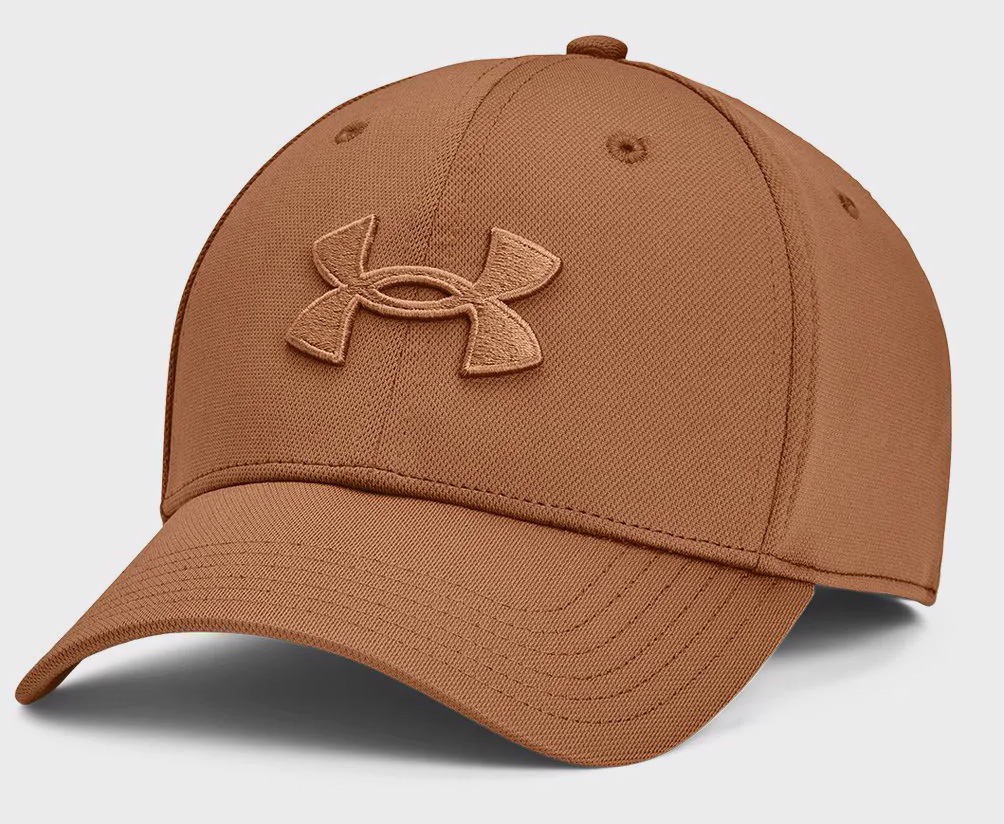 Кепка Under Armour Ua Men's Blitzing (1376700-253)