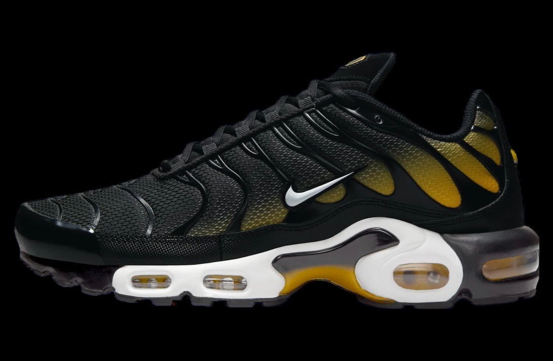 Кросівки чоловічі Nike Air Max Plus (DM0032-013)
