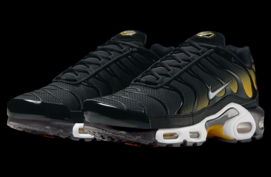 Кросівки чоловічі Nike Air Max Plus (DM0032-013)
