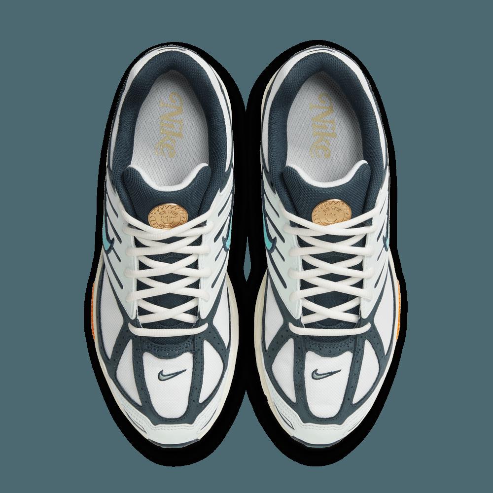 Кросівки чоловічі Nike Air Pegasus 2005 (HM3727-131)