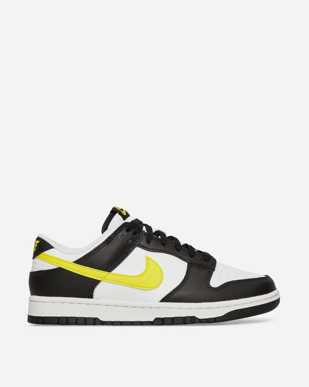 Кросівки чоловічі Nike Dunk Low (FQ2431-001)