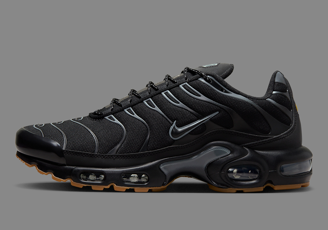 Кросівки чоловічі Nike Air Max Plus (FV0385-001)