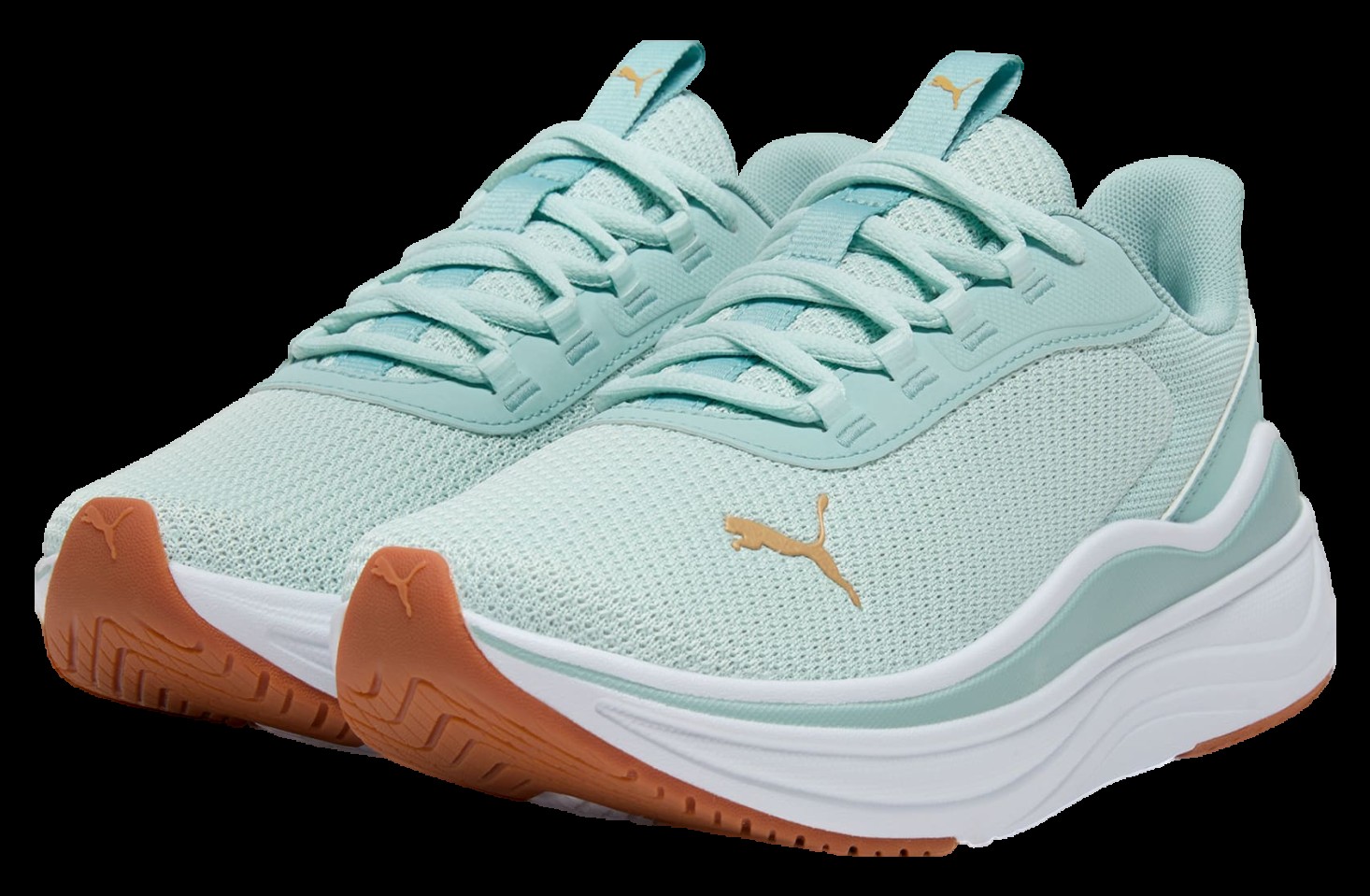 Кросівки жіночі Puma Stakd Evo Turquoise (311289-03)