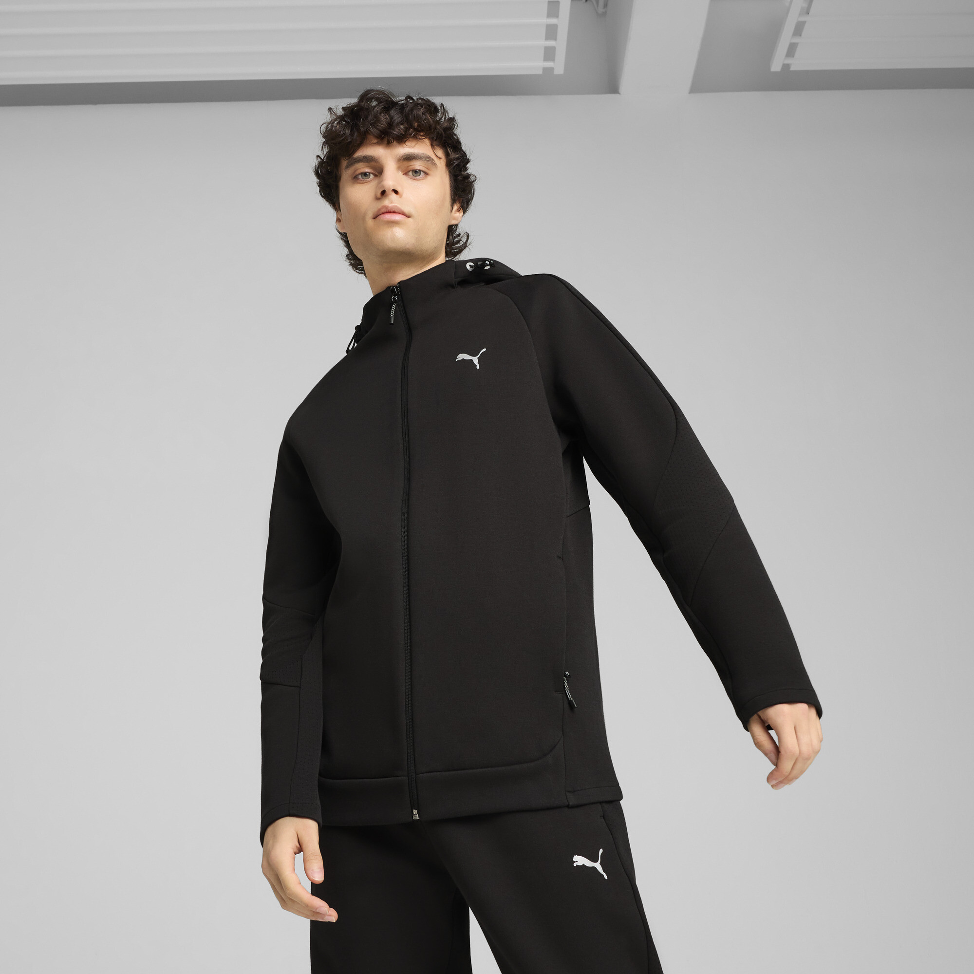 Кофта чоловіча Puma Evostripe Full-Zip Hoodie Dk (68461301)